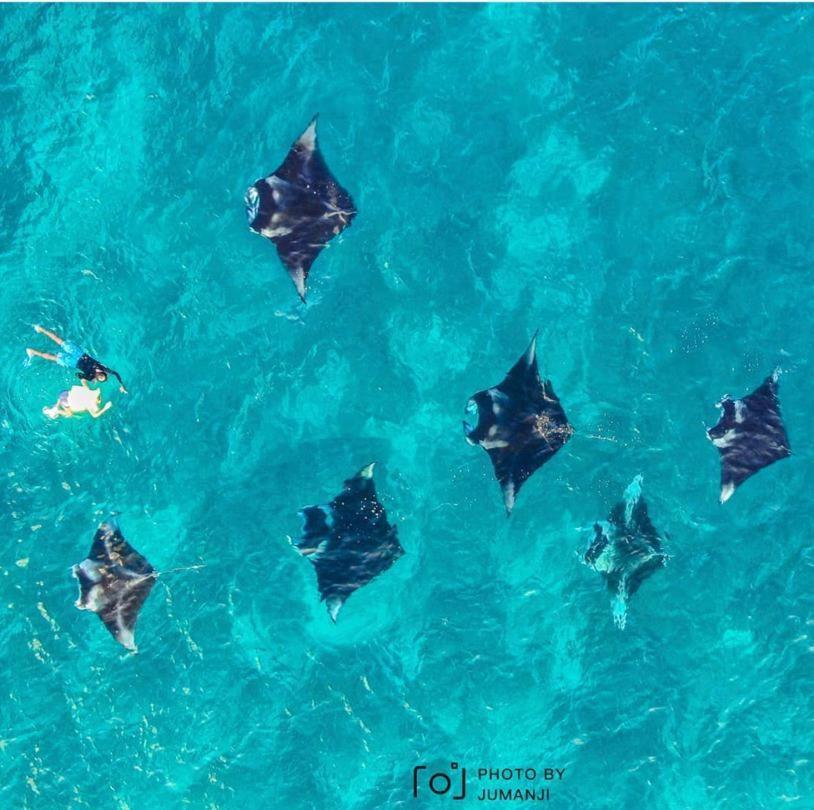ホテル Kingsway Thoddoo Maldives エクステリア 写真